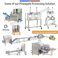 Industriële ananas schil- en snijmachine set voor fruitverwerking, 500 kg/uur