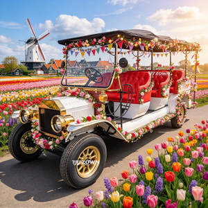 Voiture électrique rétro classique vintage ZOWN faite à la main avec forte absorption des chocs pour le transport de passagers dans les parcs d'attractions - Product Image 1