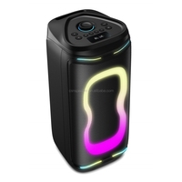 Enceinte de fête CSN-S17-08 avec basses puissantes, éclairage RGB, grand woofer, enceinte sans fil, intérieur en bois, 500W RMS, enceinte d'extérieur