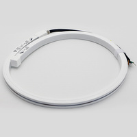 Bande LED flexible étanche IP68 Mini RGB/Couleur Unique Néon Flex en Gel de Silice DC12V 2700K Blanc Chaud Type-C/USB pour Aménagement Paysager