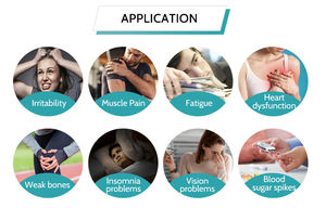 瞬間的なエネルギー集中力向上 ビタミンB12＆マグネシウム経皮用パッチ 神経の健康と免疫サポート CE認証済み - Product Image 6