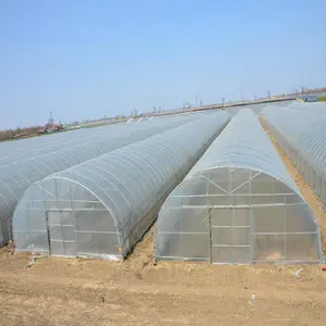 Agricultural single-span tunnel agricultural greenhouses drip irrigation set