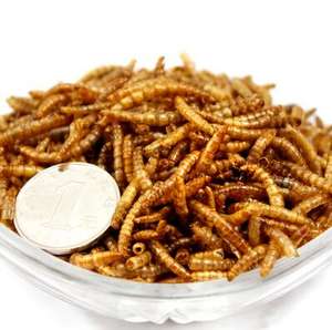 סיטונאי קפואים קפואים ליבשות מזון לחיות מחמד מזון טבעי לחיות מחמד לחיות מחמד לחיות מחמד - Product Image 4