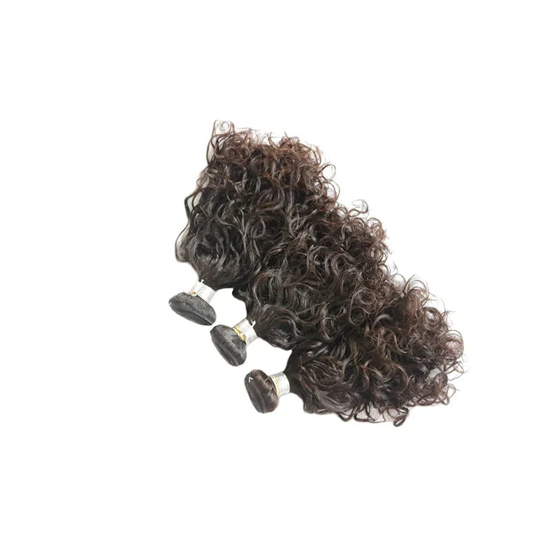 Orginal brazilian hair curly closure virgin cuticle alligned wholesale 5a brazilian deep curly hair