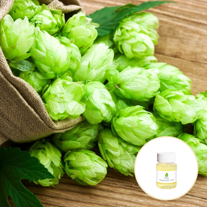 CAS 8007-04-3 Organic Beer Hops Essential Oil For Aroma Diffuser Massage