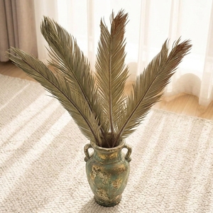 Daun Sagu Kering Grosir Satu Paket, Daun Cycas Gaya Boho Alami untuk Dekorasi Rumah dan Pernikahan