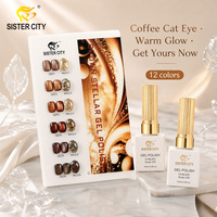 Lot de vernis gel magnétique effet œil de chat, paillettes réfléchissantes, longue tenue, UV/LED, pour nail art français DIY en salon
