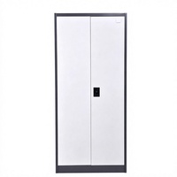 Armoire de classement en acier KD démontable, meuble de rangement métallique, mobilier de bureau, couleur personnalisée, vente en gros