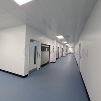 Salle blanche personnalisée avec différents niveaux de propreté, fabriquée par un fabricant spécialisé dans les projets de purification