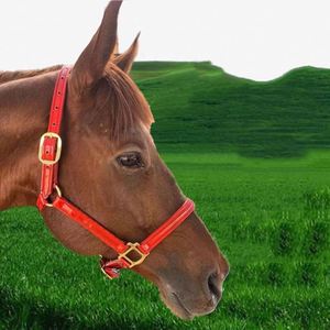 Giubbotto di salvataggio ad alta produttività rosa personalizzato in pelle pazza testa di cavallo - Product Image 5