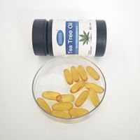 Emballage OEM/ODM Premium Huile d'arbre à thé pure et huile de carotte pour les soins de la peau et des cheveux
