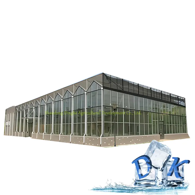Landwirtschaftsglas Gewächshaus hochwertiges Glasmaterial hochfester Rahmen ökologische Sehenswürdigkeiten Tomatenanbau