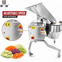 Wortelgroenten snijmachine van 304 roestvrij staal, commercieel, hoge capaciteit voor aardappel, wortel, radijs, gember en andere groenten.