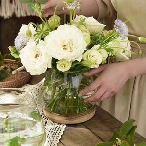 Terrario da tavolo per moltiplicazione di piante, fioriera per piantare acqua vaso in vetro con supporto in legno per la coltivazione di piante idroponiche a casa - Product Image 2