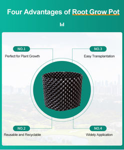 Racine <span class=keywords><strong>rapide</strong></span> grandir conteneur bonsaï arbres hydroponique pépinière Pots extérieur jardin outil de transplantation élagage formateur Pot de fleur fonction - Product Image 3