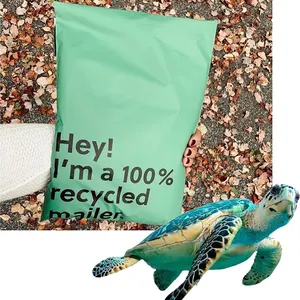 Tas Kurir Plastik Tas Surat Pengiriman Ramah Lingkungan Logo Cetak Khusus Oem Tas Surat Kurir Tas Kurir Biru