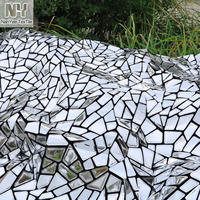 Tissu Velours à Paillettes Argentées Brillant Grande Forme Spéciale Miroir Nanyee Textile pour Costumes de Scène