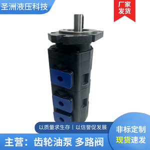 Pompe à engrenages triple haute pression Shengzhou Hydraulics JHP 80/80/63 pour plateforme de forage et chargeuse - Product Image 4