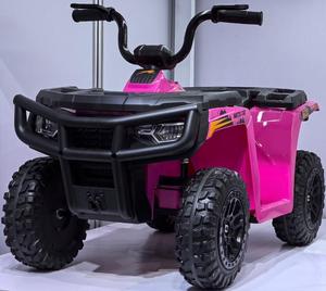 NOUVEAU Quad 24V sous licence Arctic Cat pour enfants VTT à piles, <span class=keywords><strong>voiture</strong></span> électrique à quatre roues pour enfants - Product Image 1