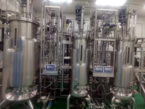 Ue Standard di alta qualità GMP Pichia Pastoris Bioreactor 50l-50l-200l-500l acciaio inossidabile per recipiente a pressione da laboratorio - Product Image 2