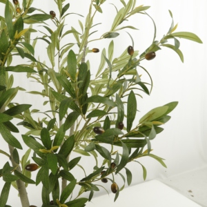 Árbol <span class=keywords><strong>de</strong></span> Olivo Artificial en Maceta, Árbol <span class=keywords><strong>de</strong></span> Seda con Ramas <span class=keywords><strong>de</strong></span> Olivo Naturales y Hojas Realistas, Árbol Artificial para Decoración <span class=keywords><strong>de</strong></span> Interiores <span class=keywords><strong>de</strong></span> <span class=keywords><strong>Casa</strong></span> u Oficina - Product Image 6