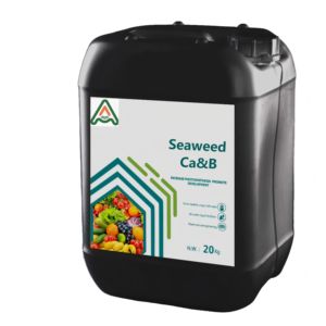 Fertilizante de Alta Qualidade para Horticultura, Algas Marinhas Ascophyllum Nodosum, Fertilizante de Ácido Alginico Certificado Orgânico Ca&B - Product Image 1