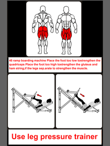 Équipement de musculation professionnel de haute qualité pour la force des jambes, <span class=keywords><strong>presse</strong></span> à jambes linéaire à 45 degrés, utilisé pour la salle de sport - Product Image 3