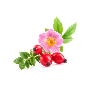 Olio di Rosa Canina Vergine Biologico Grado Cosmetico e Alimentare 220lt - Product Image 2