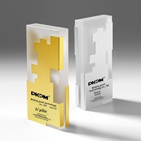 Trophée en métal et cristal sur mesure - Design créatif, élégant et haut de gamme pour récompenses et reconnaissance - Fabrication chinoise - Commandes personnalisées bienvenues