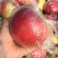 Chinese Appel Heerlijke Koninklijke Gala Appels Verse Rode Fuji Appel