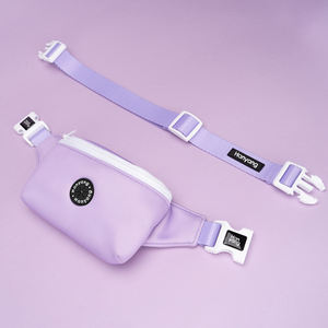 कस्टम निविड़ अंधकार आउटडोर कुत्ते घूमना कमर बैग पर्यावरण के अनुकूल पालतू कुत्ता गोली चलाने की आवाज़ के साथ इलाज पिछाड़ी पैक पालतू पशु प्रशिक्षण हिप पैक बैग धारक - Product Image 3