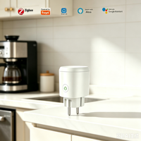 Prise intelligente Zigbee 3.0 EU, compatible Tuya, avec commande vocale Alexa et Google Home, emballage personnalisé OEM.