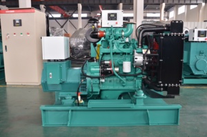 Generador 4B3.9-G11 de 20kw 25kva, Nuevo, de Alta Calidad, con Garantía, Marca Estadounidense, Precio Económico - Product Image 6
