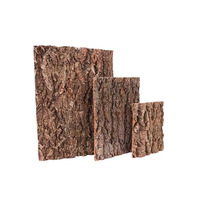 Racine d'arbre artificielle ronde en liège naturel pour terrarium de reptiles, aquascape pour animaux de compagnie, pour lézards, araignées, scorpions, caméléons