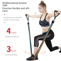 11 pièces 100 livres TPE corde élastique ensemble Fitness Tension costume pour chien Yoga et entraînement musculaire bandes d'exercice efficaces
