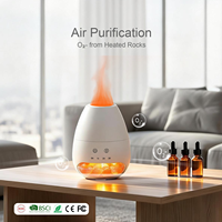 Nouveau produit 2026 : Diffuseur d'arômes à sel de l'Himalaya USB Type C 100 ml, diffuseur d'aromathérapie à flamme pour la maison et le bureau