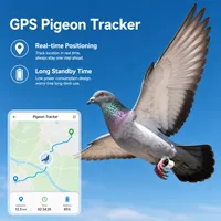 Traceur GPS intelligent écologique pour pigeons de compétition et d'entraînement, avec puce en plastique et boucle, positionnement en temps réel Bluetooth/WiFi