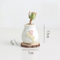 Pot en céramique blanc, plantes succulentes artificielles, mini paysage de table, pot à fleurs, pots de plantes