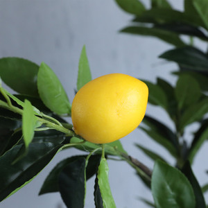 Nuevos productos al por mayor bonsái artificial realista, limonero para decoración del hogar o de la boda, material plástico - Product Image 5