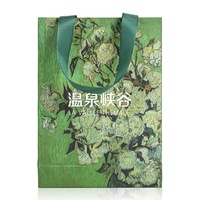 Sac à main artistique vert et écologique, emballage cadeau haut de gamme sur mesure, sac de shopping avec poignée en ruban