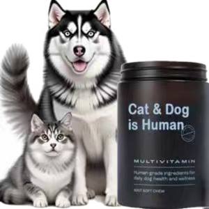 Suplemento Nutricional <span class=keywords><strong>para</strong></span> Mascotas <span class=keywords><strong>de</strong></span> Grado Humano OEM/ODM, Masticables Blandos Multivitamínicos <span class=keywords><strong>para</strong></span> <span class=keywords><strong>Perros</strong></span> y Gatos - MSM, CoQ10 y <span class=keywords><strong>Probióticos</strong></span> <span class=keywords><strong>de</strong></span> 500M CFU - Product Image 5