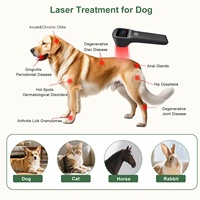 Appareil de thérapie laser froid à faible intensité pour soulager la douleur, portable, classe 3b, 808nm 650nm, lumière rouge pour chien et cheval, 880mW, 20 diodes
