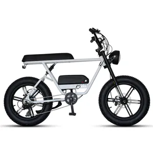 Dynalion 750w Entraînement arrière Vélo électrique Sport Batterie interchangeable Longue Portée 45 km/h Vélo électrique rapide de Chine