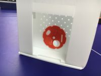 Ruches en plastique polypropylène, boîte de noyau en corflute pour l'apiculture