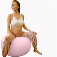 Ballon de Pilates et de Yoga ProBody en PVC Durable avec Livre pour l'Exercice Prenatal, la Naissance et la Maternité Post-partum (65cm)