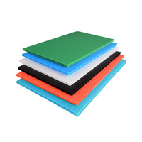Feuille de plastique ondulé PP pour l'emballage et l'impression, imperméable, légère, taille personnalisée