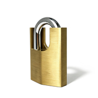 Cadenas Anin en laiton type D à double levier, 50 mm 60 mm, avec anse en acier trempé, antivol, pour casier, boîte à outils, armoire