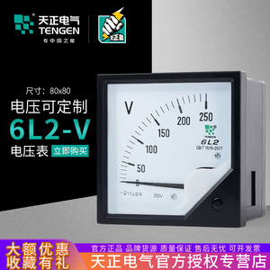 Voltmètre Tengen 6L2 250V AC 80x80mm Classe 1.5 Monophasé - Product Image 4