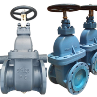 Vanne à opercule en acier moulé JIS 5K 10K 20K DN250 WCB à brides DN40-DN400 pour eau et huile