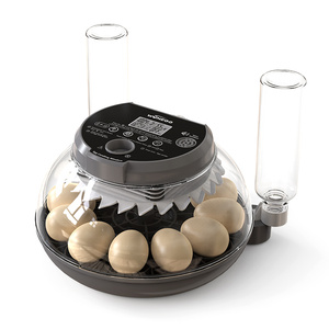 WONEGG - Incubadora de Huevos de Codorniz y Pato al Mejor Precio, Incubadora de Huevos Casera, en Venta en Tailandia - Product Image 1